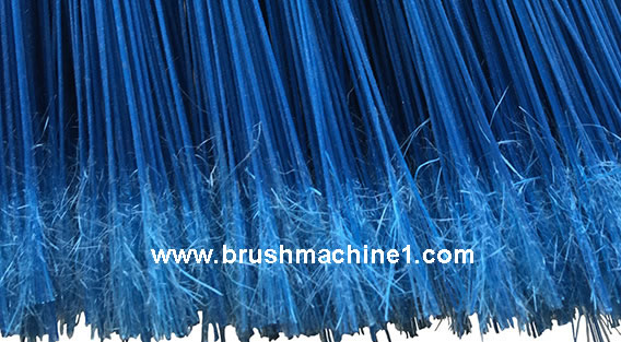 all the broom filament-ends are split.jpg